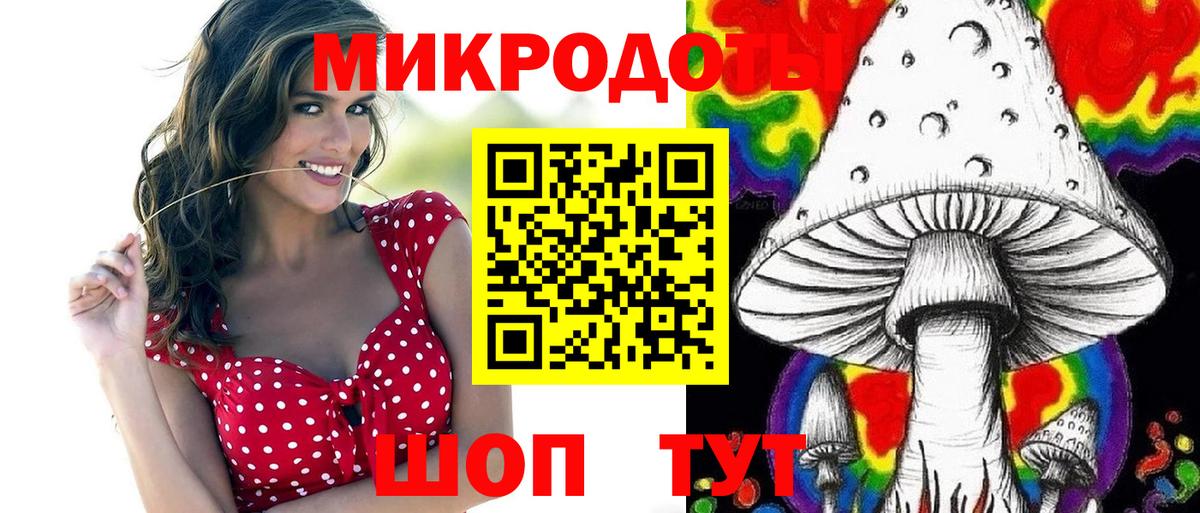 Псилоцибиновые грибы Psilocybine cubensis Белгород