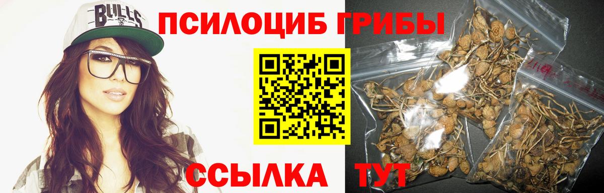 Белгород  Галлюциногенные грибы Psilocybine cubensis  Вход с VPN 